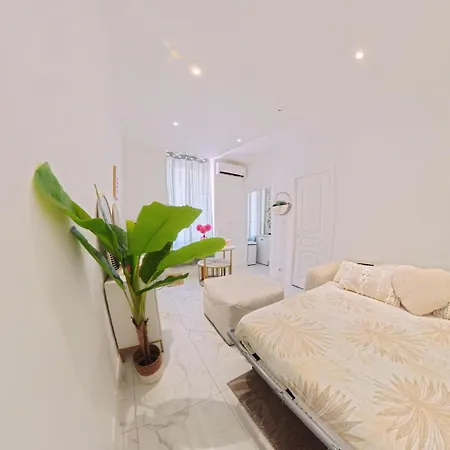 Beautiful Refurbished Air Conditioned Heart Of Nizza